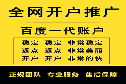 百度竞价代理优化策略：案例分享与借鉴