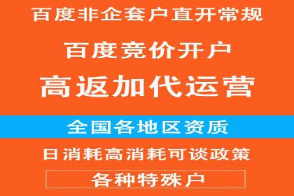 竞价代运营成功案例：助力企业抢占市场份额